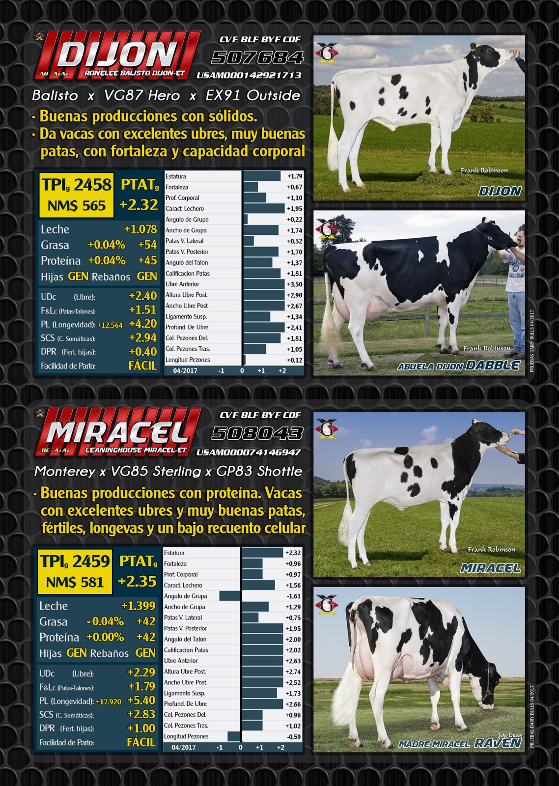 BAS&middot;GGI - Toros USA 2017